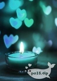 玛丽苏文完结之后(NPH)全